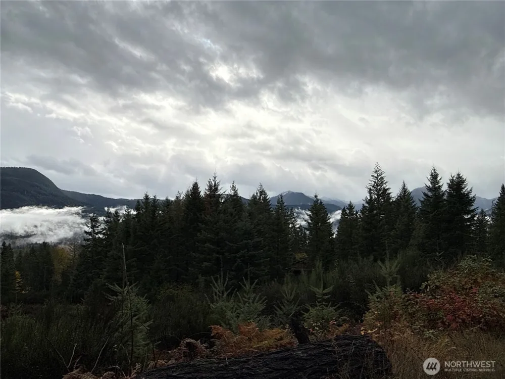 2 XX Forest Road 52 Packwood, WA 98361
