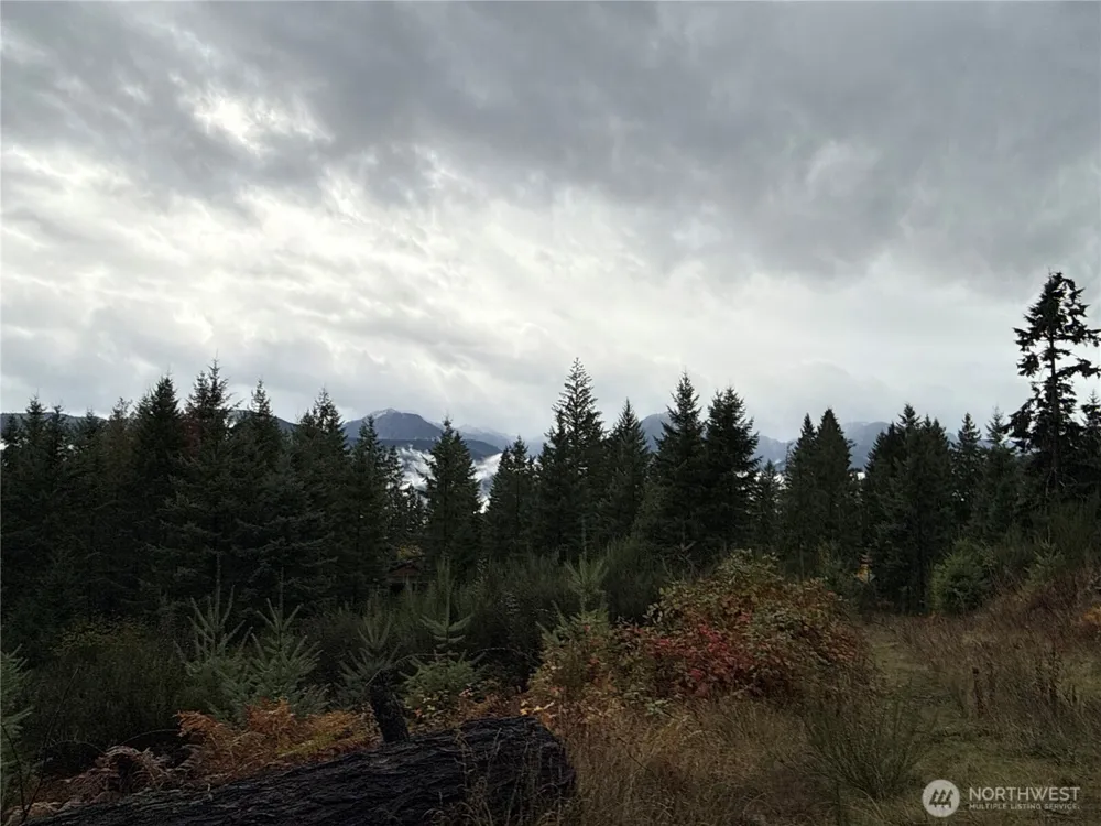 2 XX Forest Road 52 Packwood, WA 98361