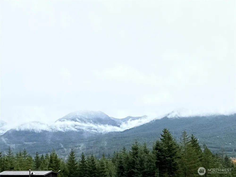 2 XX Forest Road 52 Packwood, WA 98361