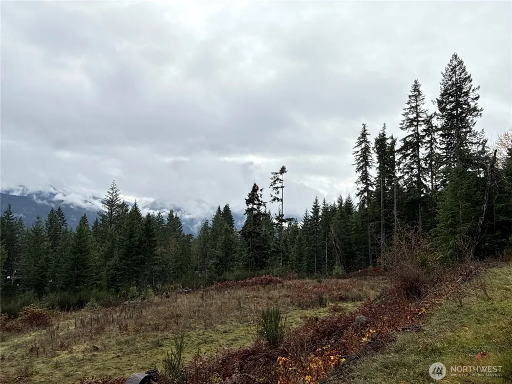 2 XX Forest Road 52 Packwood, WA 98361