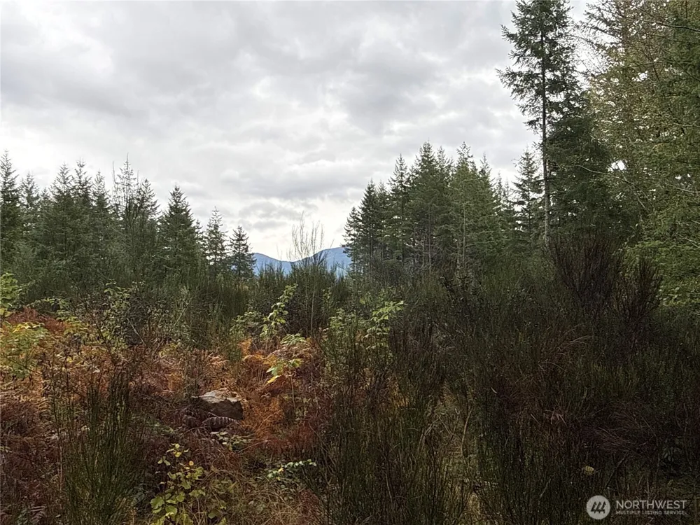 2 XX Forest Road 52 Packwood, WA 98361