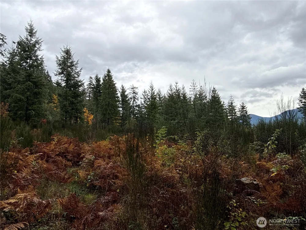 2 XX Forest Road 52 Packwood, WA 98361