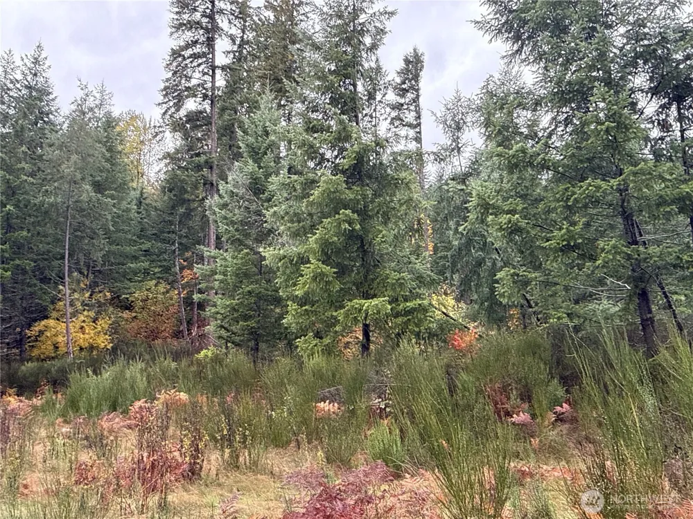 2 XX Forest Road 52 Packwood, WA 98361