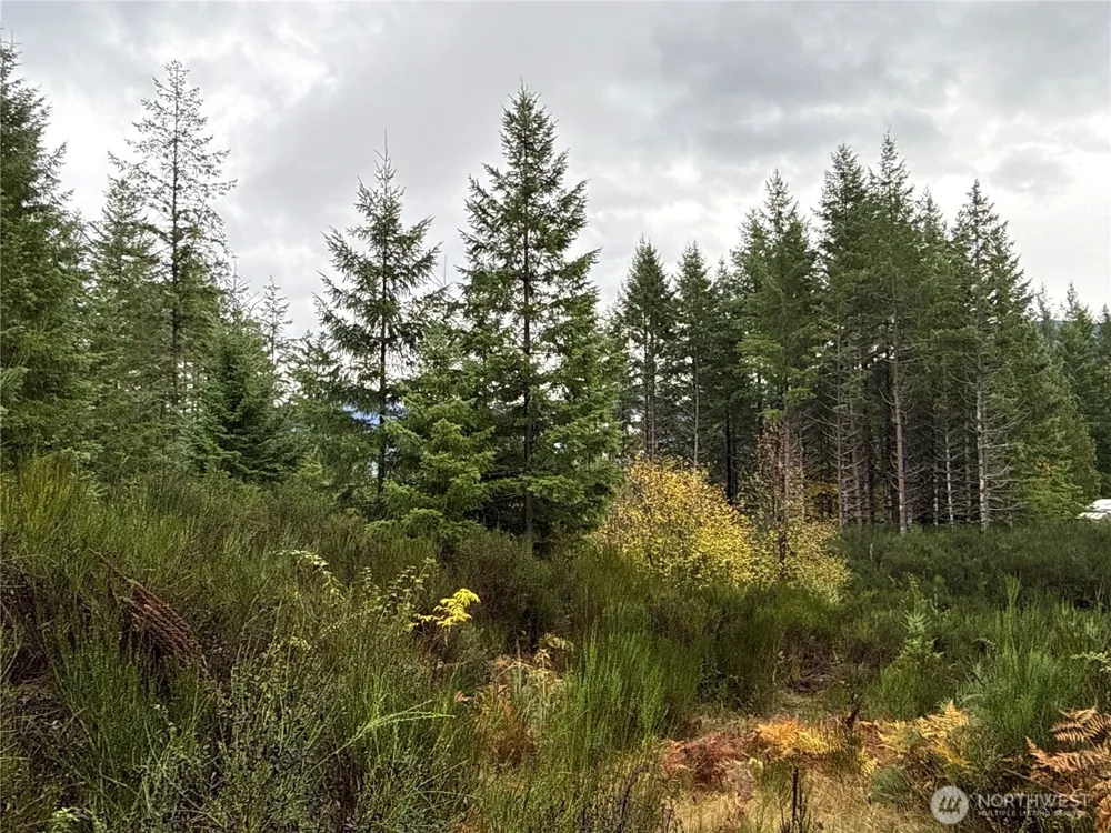 2 XX Forest Road 52 Packwood, WA 98361