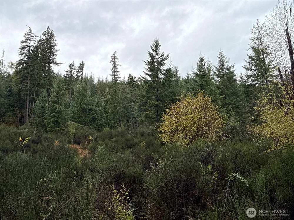 2 XX Forest Road 52 Packwood, WA 98361