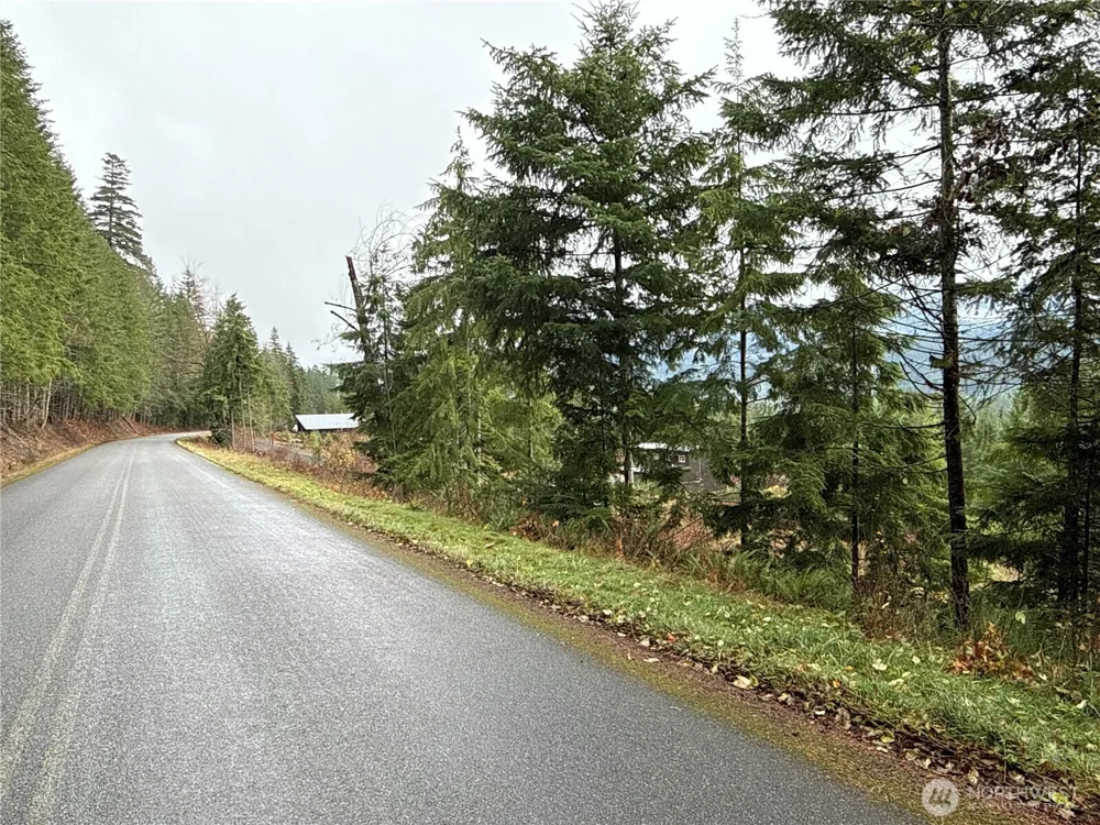 2 XX Forest Road 52 Packwood, WA 98361