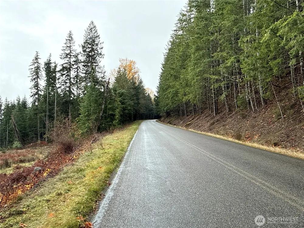 2 XX Forest Road 52 Packwood, WA 98361