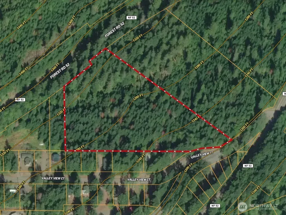 2 XX Forest Road 52 Packwood, WA 98361