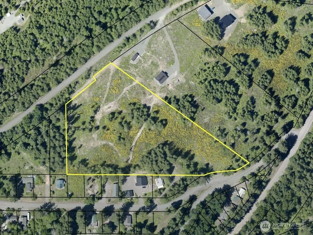 2 XX Forest Road 52 Packwood, WA 98361