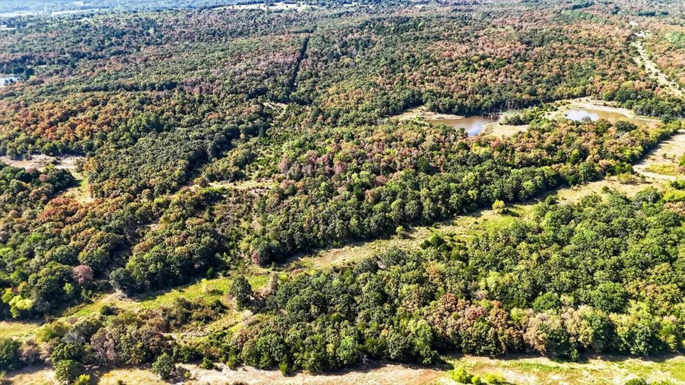 1 Double Springs Stuart, OK 74570