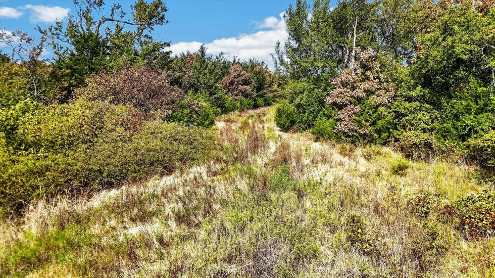 1 Double Springs Stuart, OK 74570