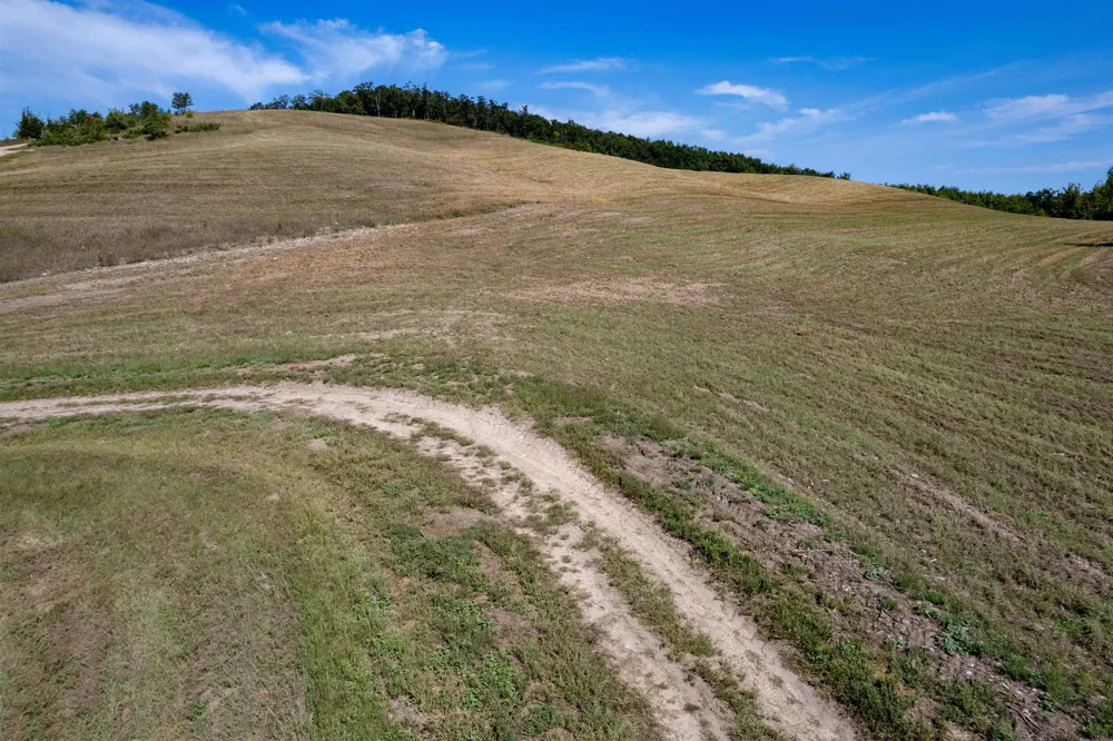E Rudy Drive Leelanau Township, MI 49670