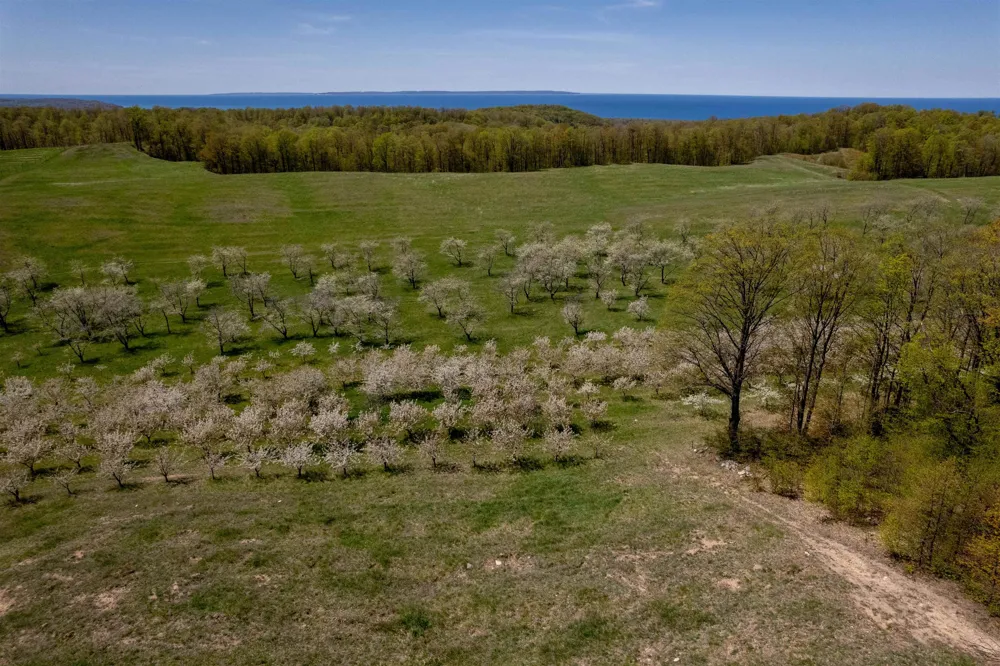 E Rudy Drive Leelanau Township, MI 49670