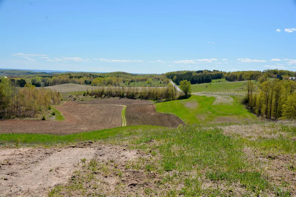 E Rudy Drive Leelanau Township, MI 49670