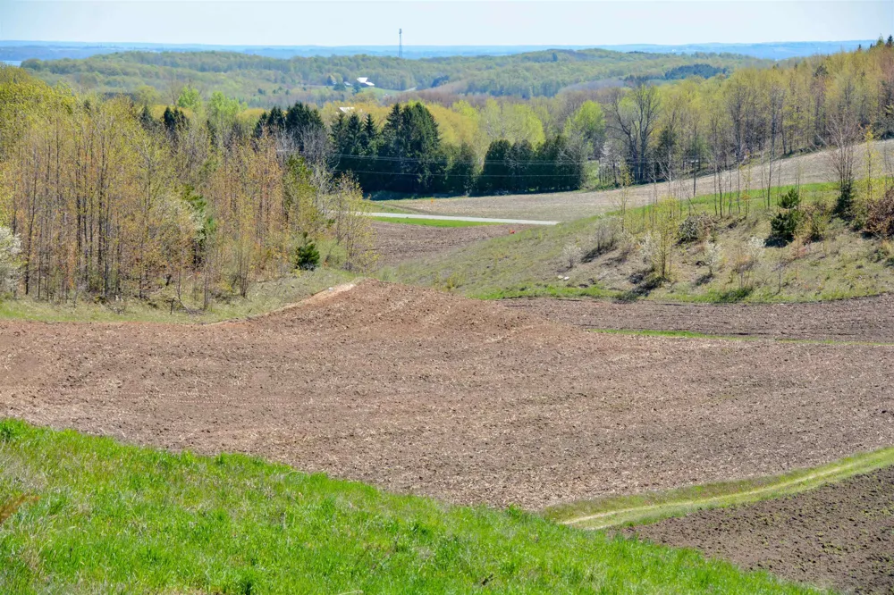 E Rudy Drive Leelanau Township, MI 49670