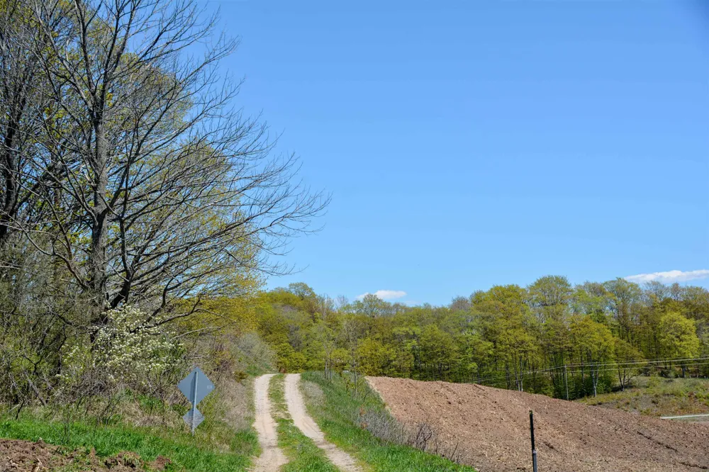 E Rudy Drive Leelanau Township, MI 49670