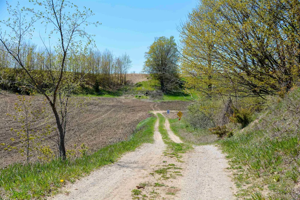 E Rudy Drive Leelanau Township, MI 49670