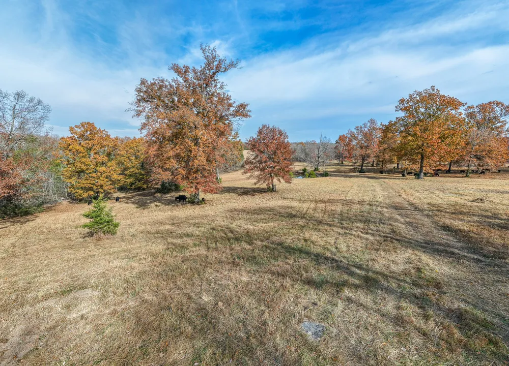 1511 Belotes Ferry Rd Lebanon, TN 37087