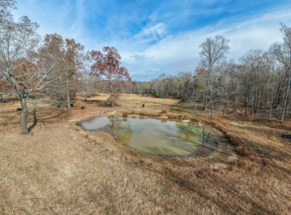 1511 Belotes Ferry Rd Lebanon, TN 37087