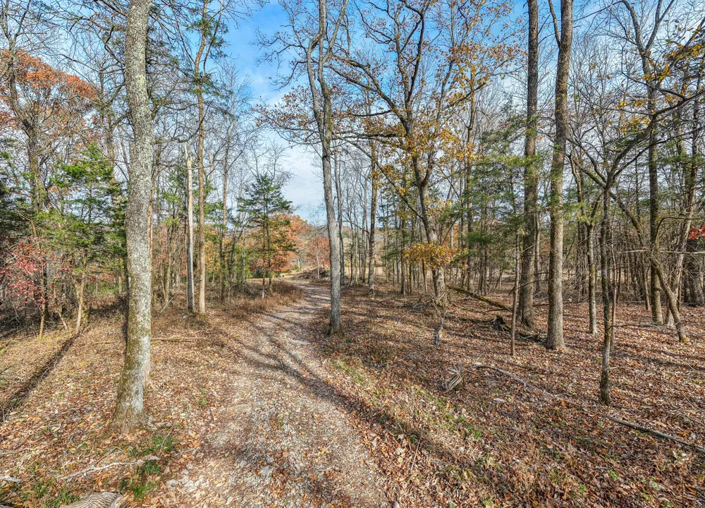 1511 Belotes Ferry Rd Lebanon, TN 37087