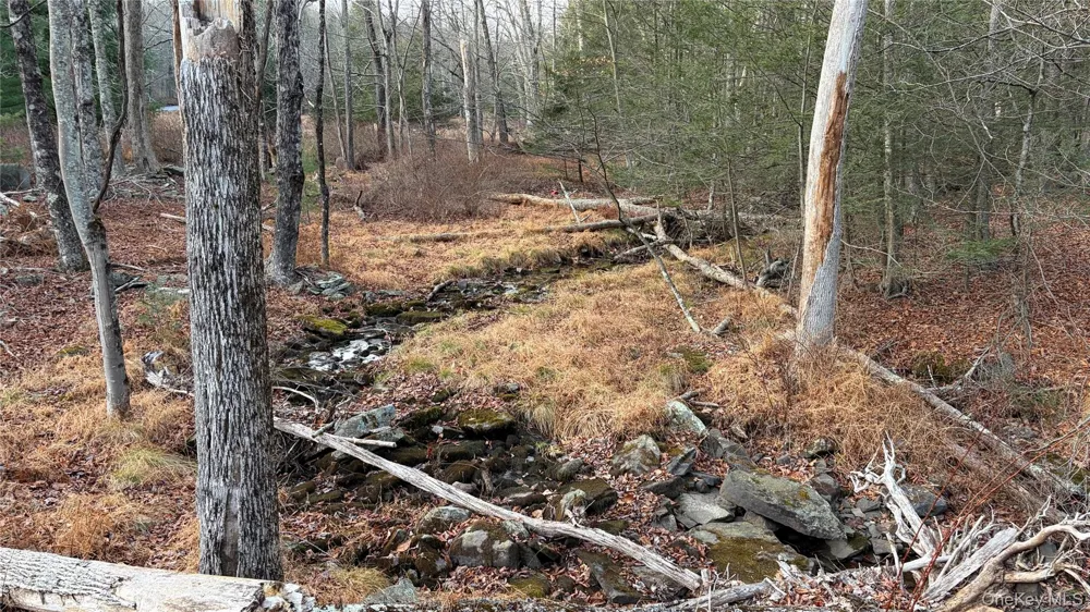 X Aldrich Road Wurtsboro, NY 12790