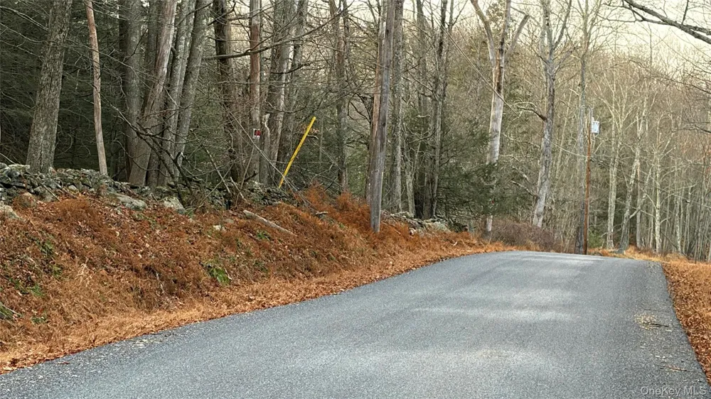 X Aldrich Road Wurtsboro, NY 12790