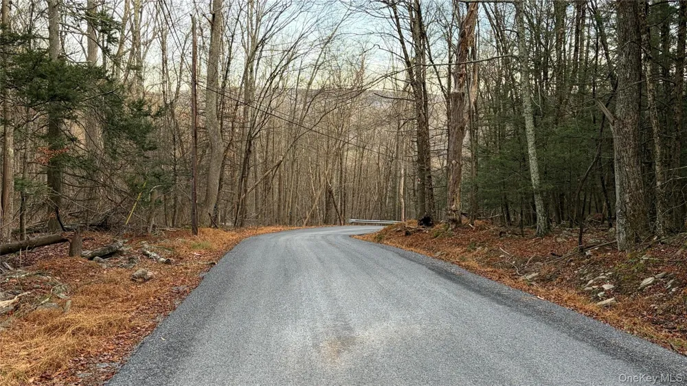 X Aldrich Road Wurtsboro, NY 12790