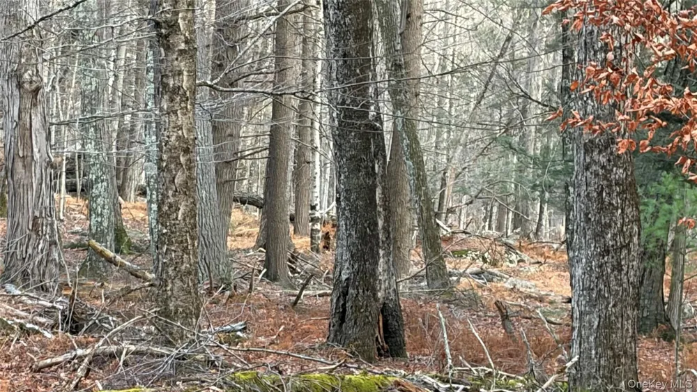 X Aldrich Road Wurtsboro, NY 12790