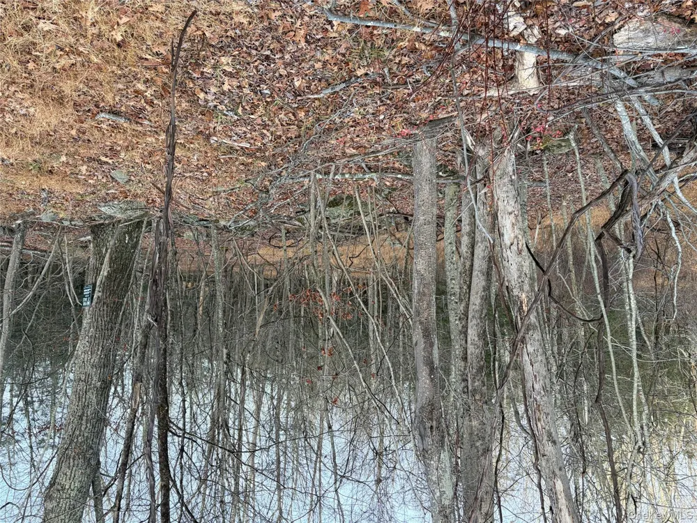 X Aldrich Road Wurtsboro, NY 12790