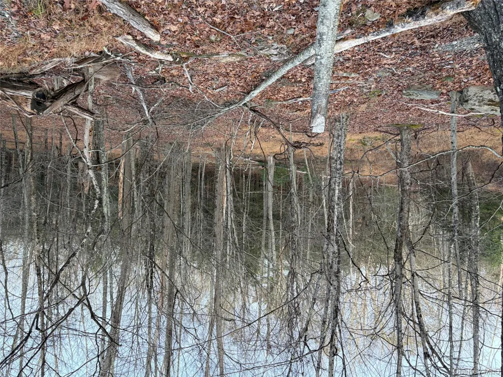 X Aldrich Road Wurtsboro, NY 12790