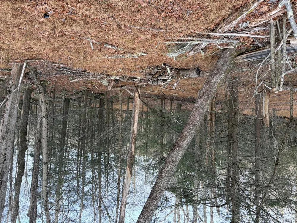 X Aldrich Road Wurtsboro, NY 12790