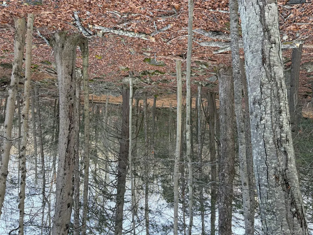 X Aldrich Road Wurtsboro, NY 12790
