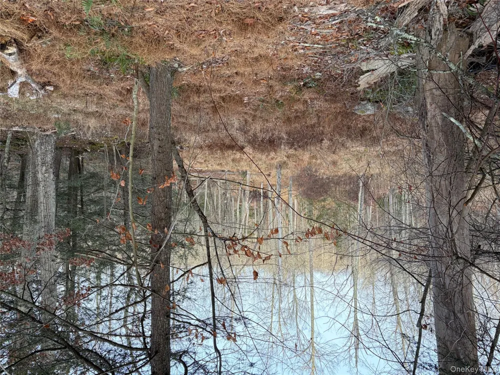 X Aldrich Road Wurtsboro, NY 12790