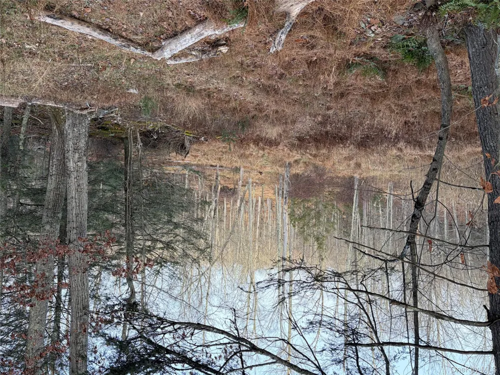 X Aldrich Road Wurtsboro, NY 12790