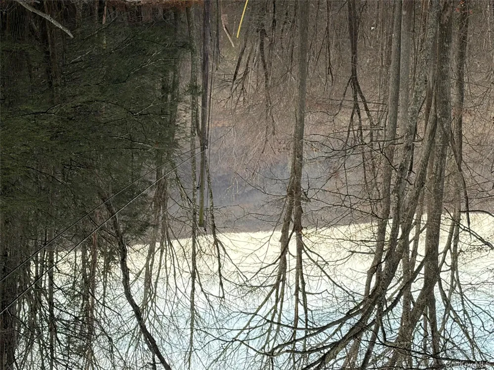 X Aldrich Road Wurtsboro, NY 12790
