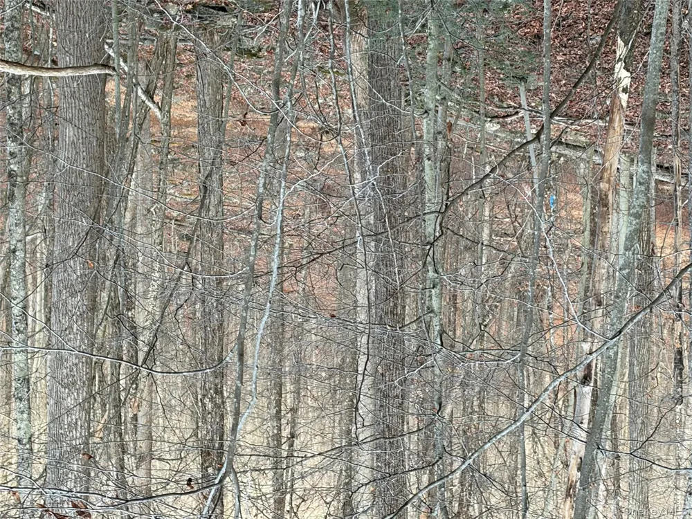 X Aldrich Road Wurtsboro, NY 12790