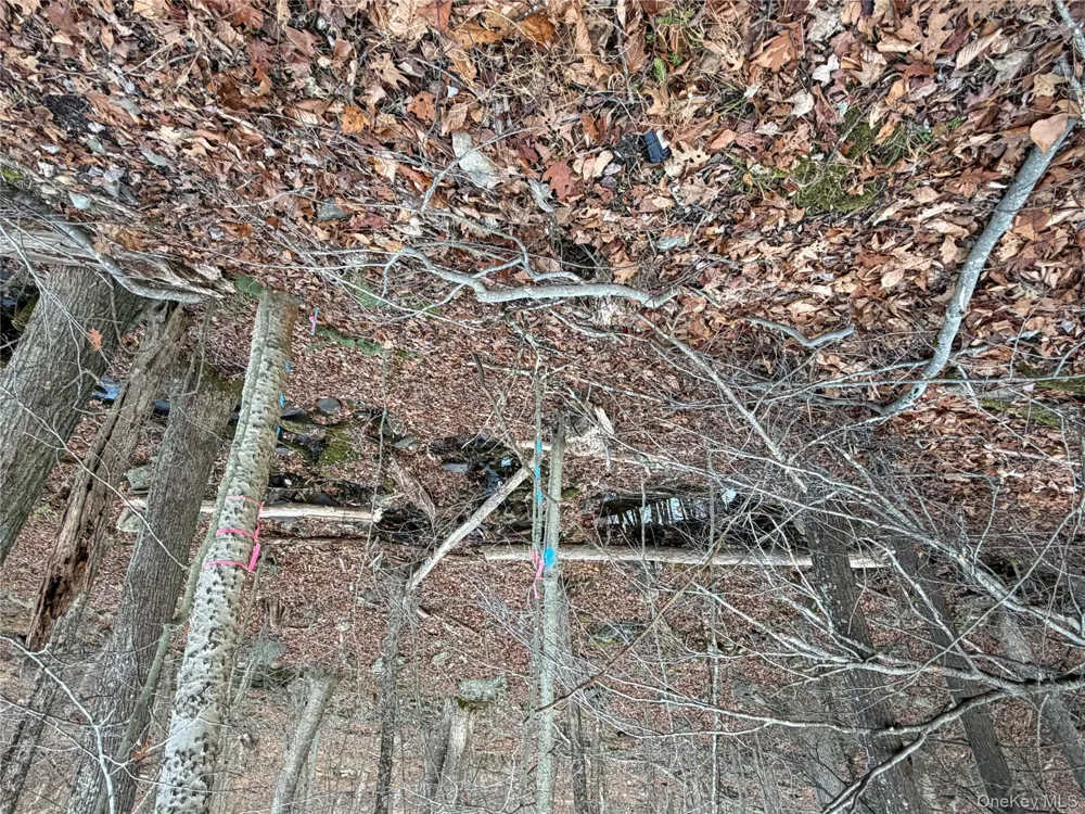 X Aldrich Road Wurtsboro, NY 12790