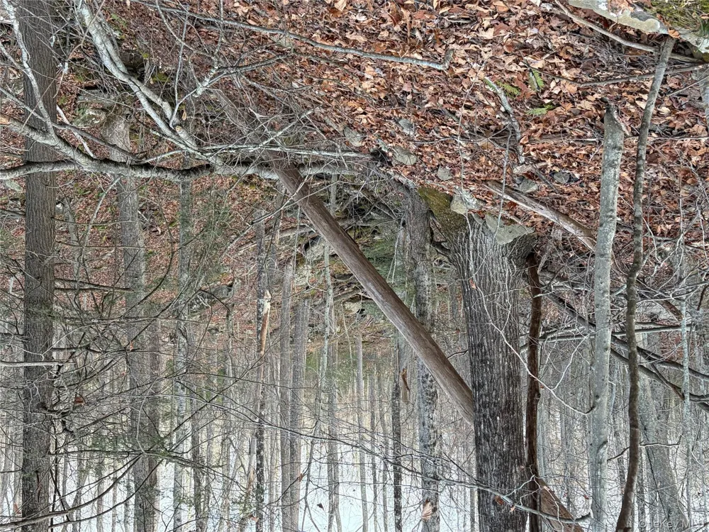 X Aldrich Road Wurtsboro, NY 12790