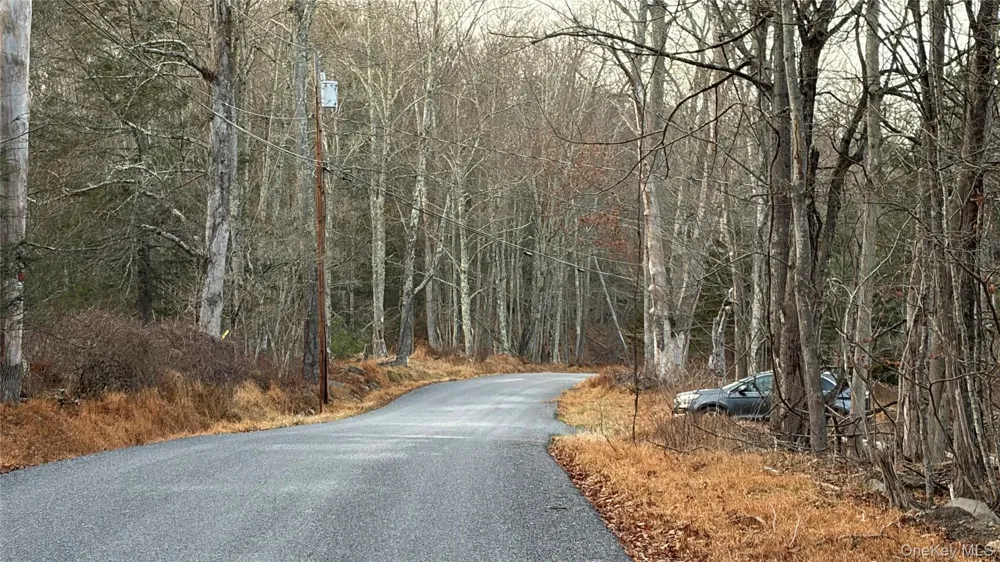 X Aldrich Road Wurtsboro, NY 12790