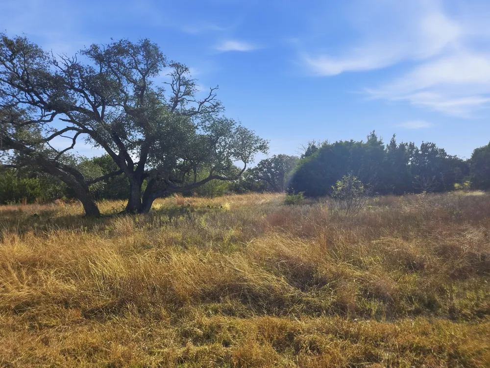 PR 4212 Evant, TX 76525