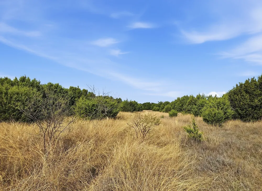 PR 4212 Evant, TX 76525