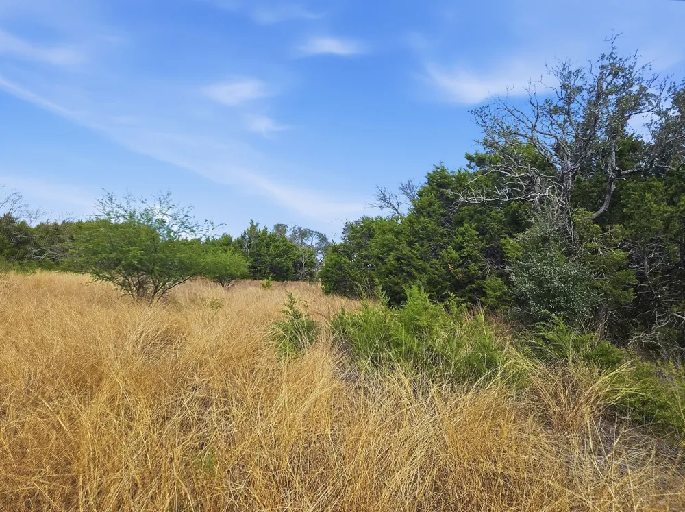 PR 4212 Evant, TX 76525
