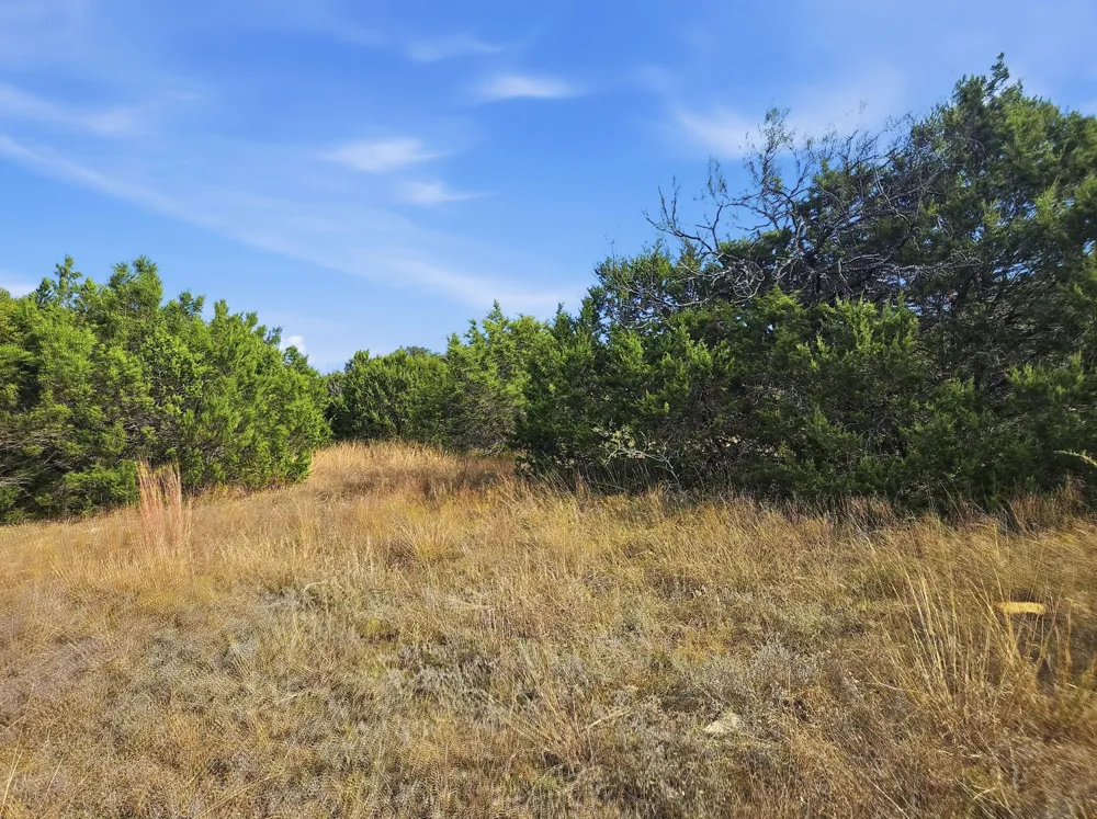 PR 4212 Evant, TX 76525