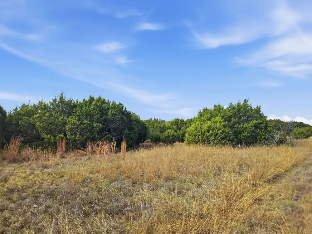 PR 4212 Evant, TX 76525