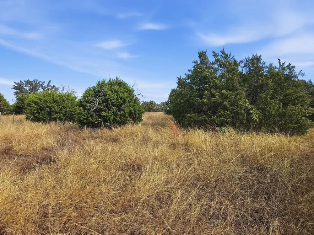 PR 4212 Evant, TX 76525