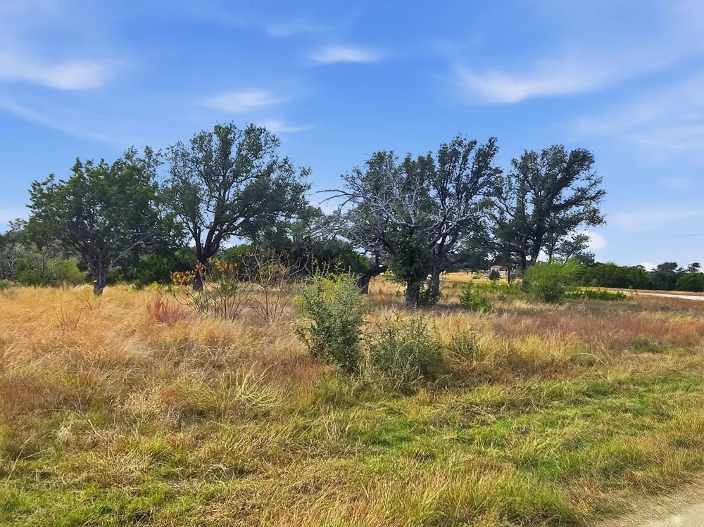 PR 4212 Evant, TX 76525
