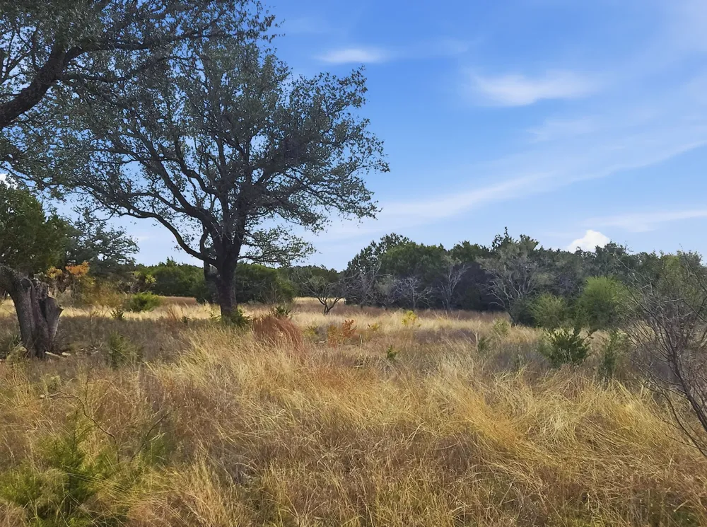 PR 4212 Evant, TX 76525