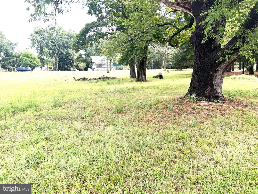 26532 JERSEY ROAD Millsboro, DE 19966