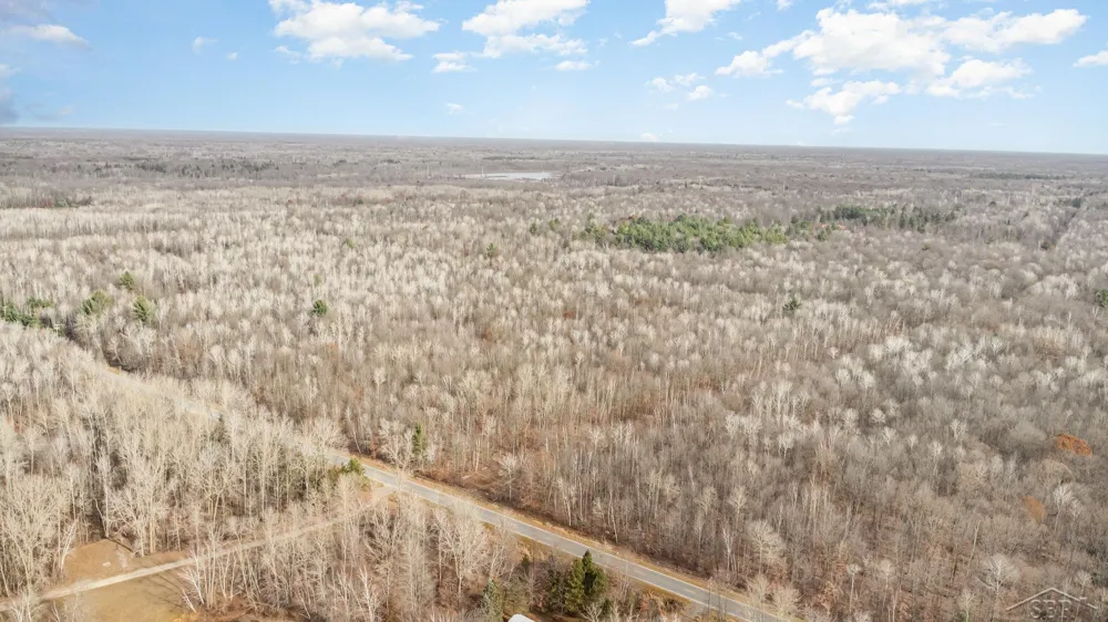 S County Line Road Greendale Township, MI 48883