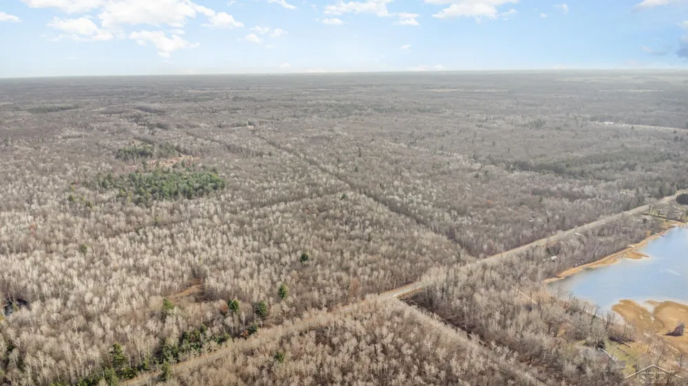 S County Line Road Greendale Township, MI 48883